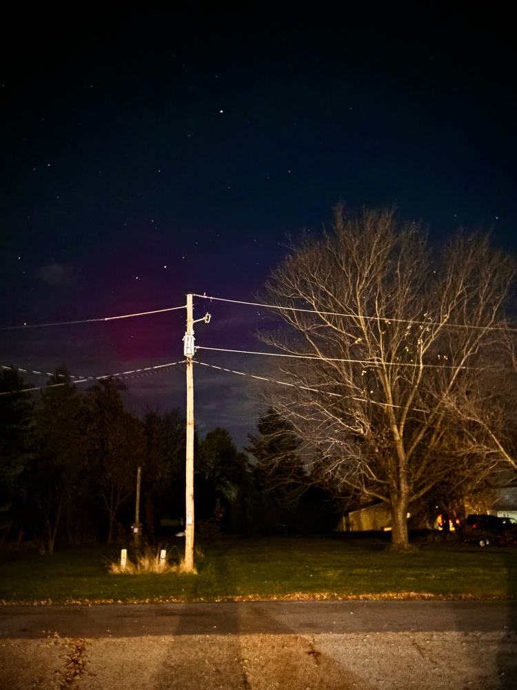 Red-pink northern lights (auroras) visible in the sky with a power line pole & trees.