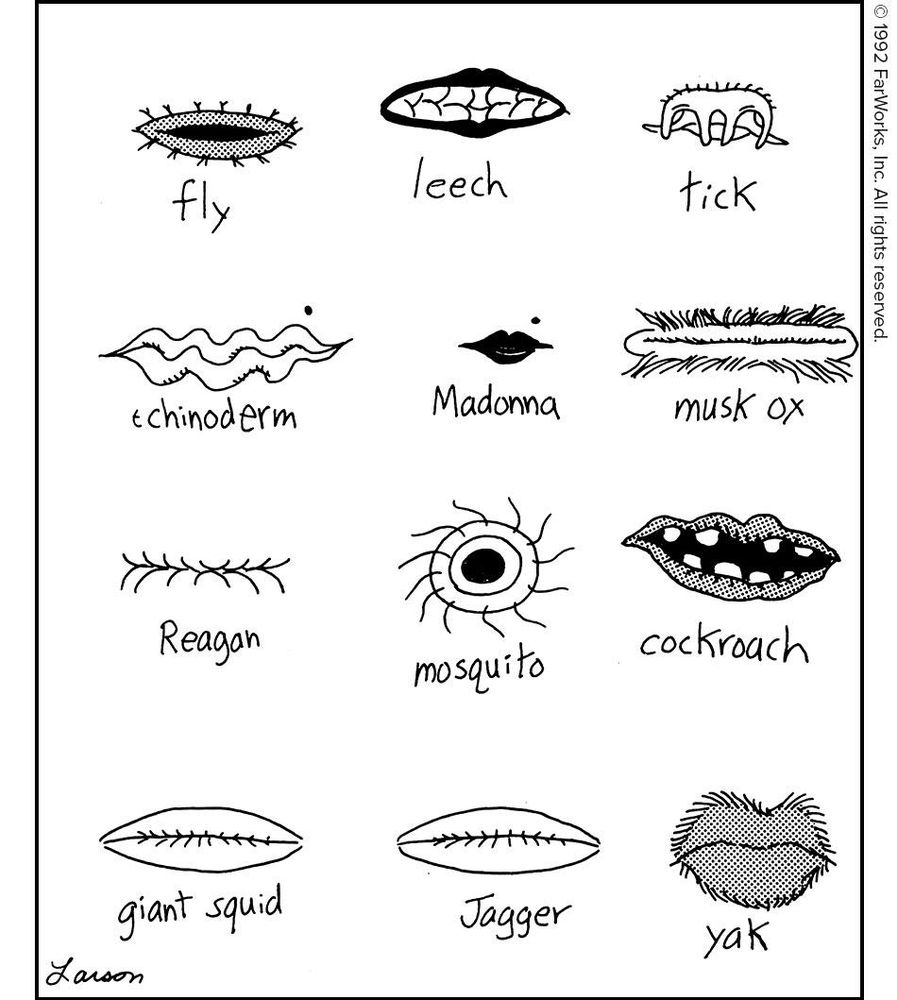 Lips of the animal kingdom