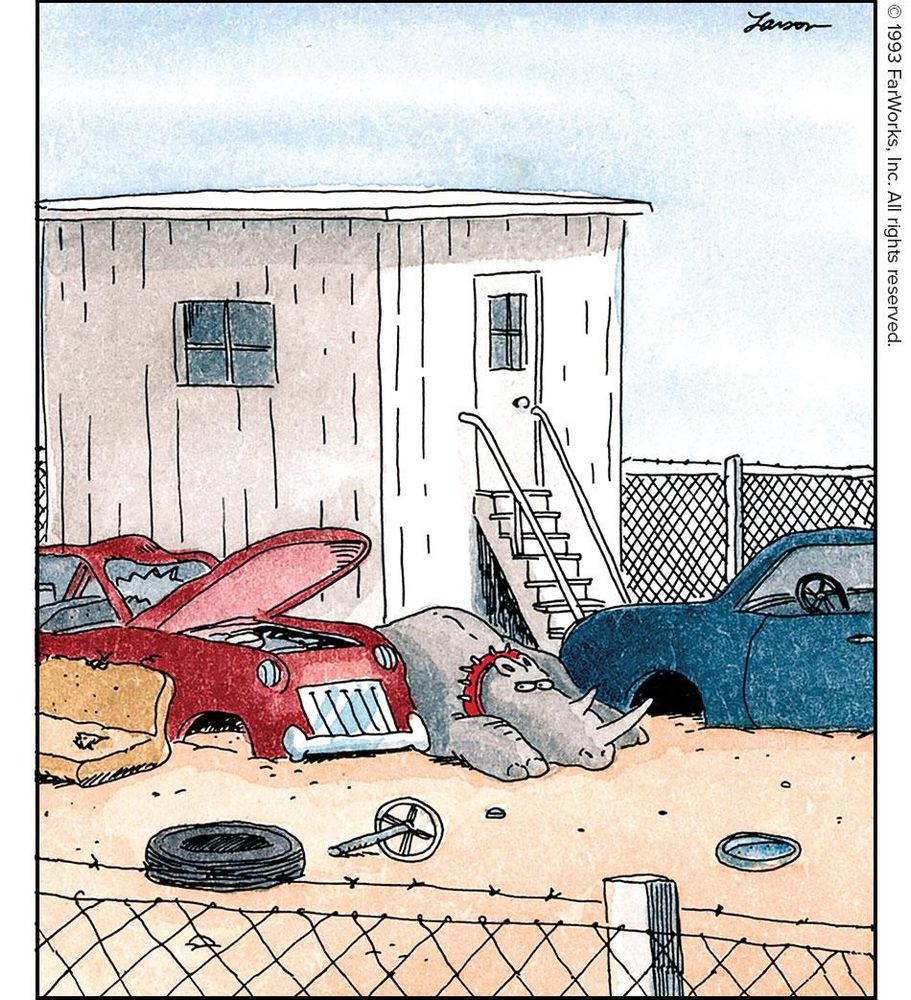 Several times more dangerous than his African cousin, the junkyard rhino offers the ultimate in property protection.