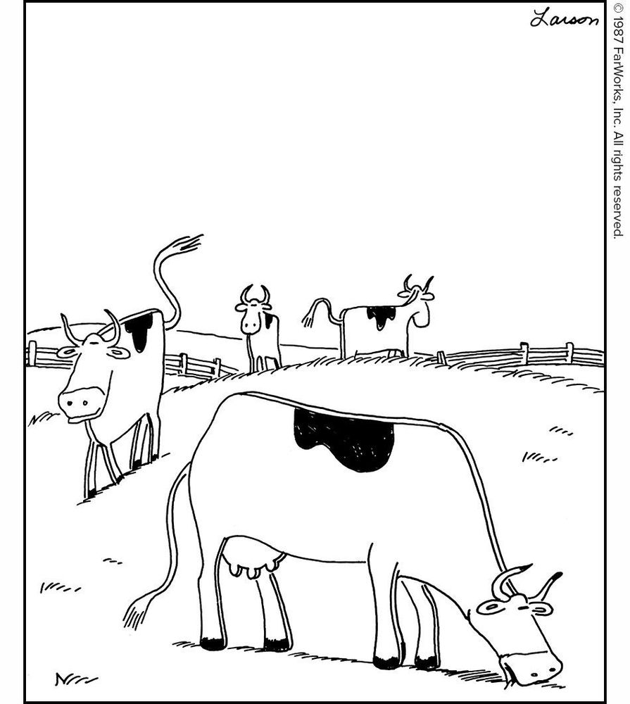 Where “minute” steaks come from