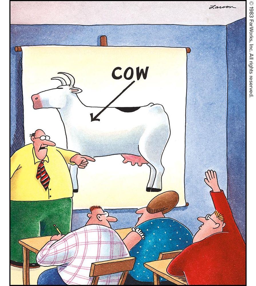“Yes … I believe there’s a question there in the back.”