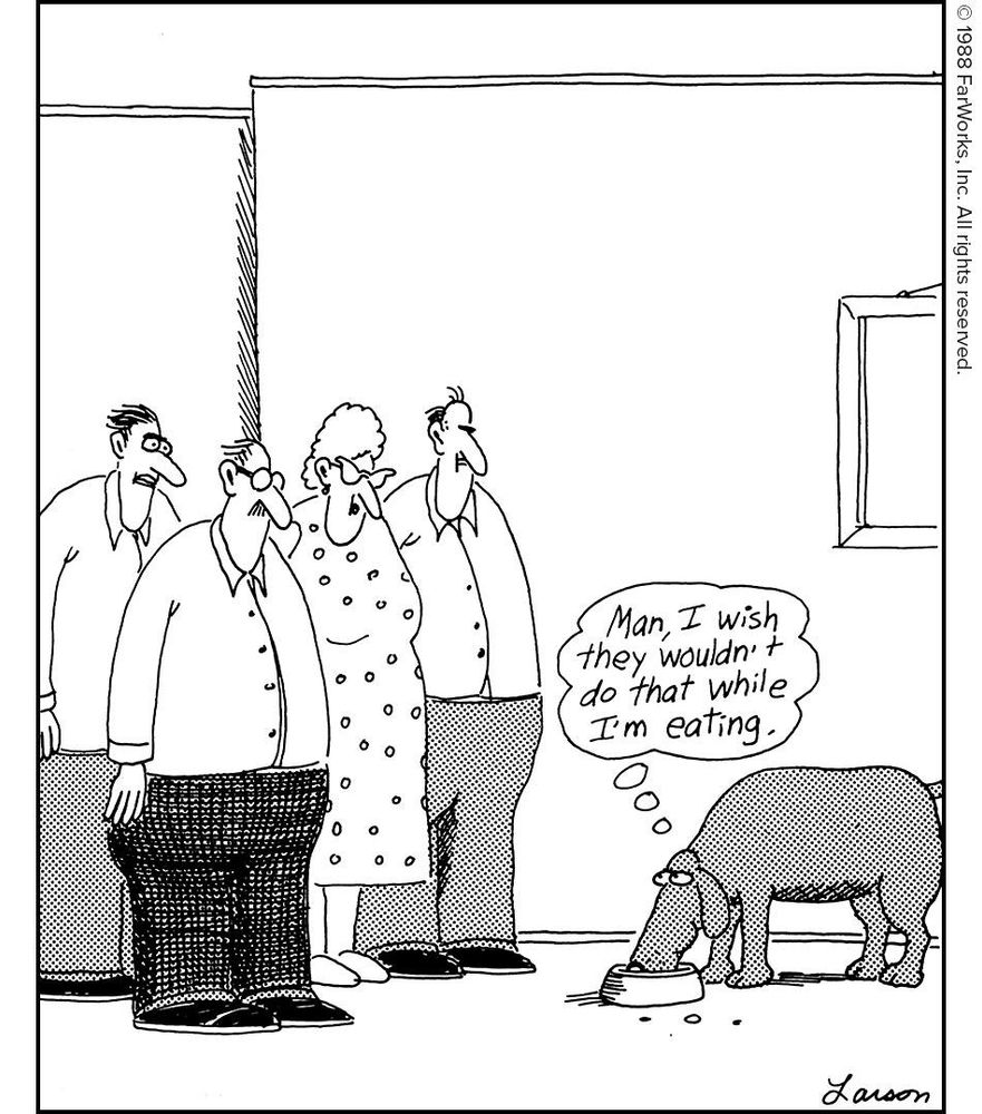 Man, I wish they wouldn’t do that while I’m eating.