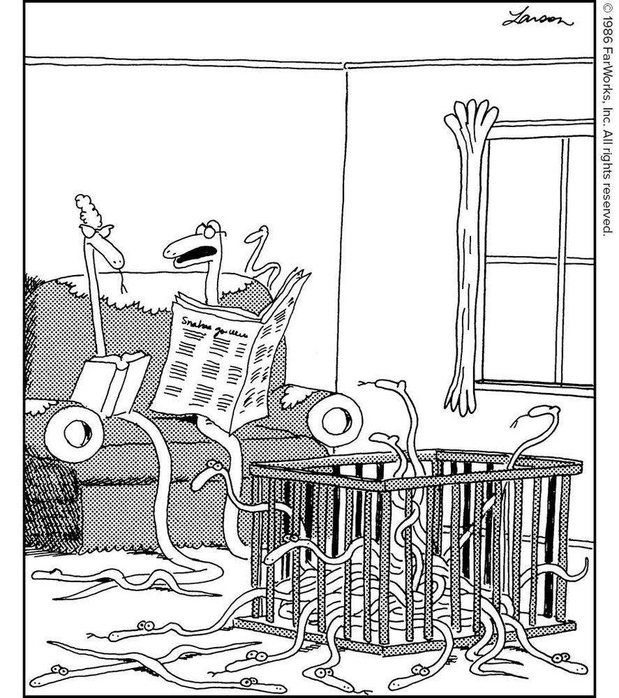 “I tell you, a crib is just plain worthless—what we need around here is a good cardboard box.”