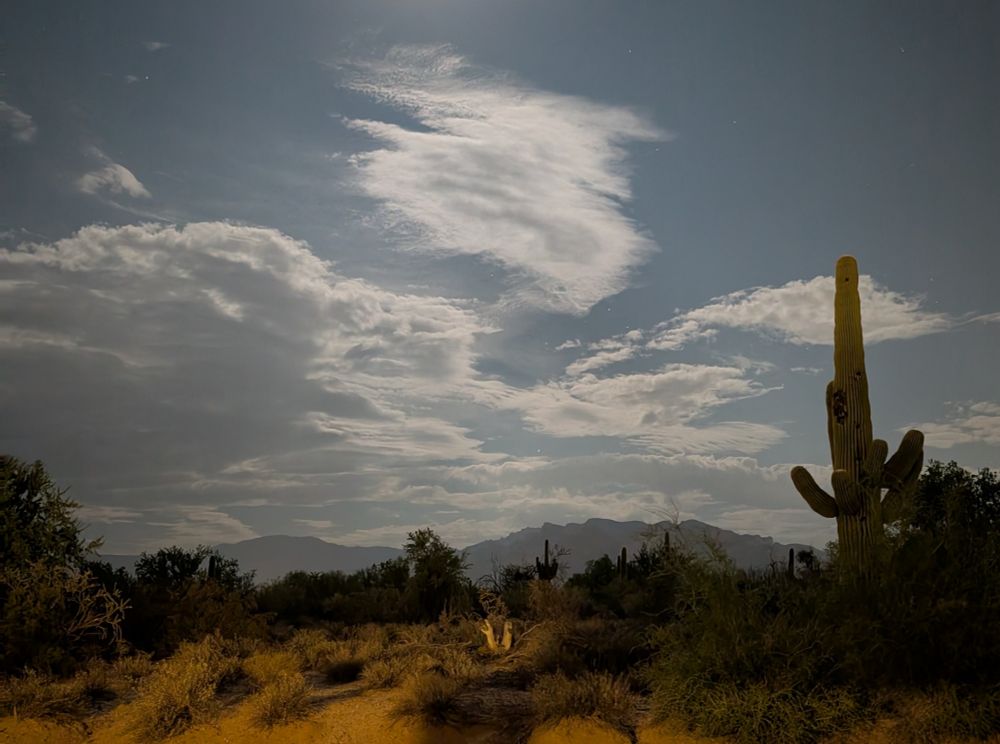 A nighttime view of the Sonoran desert, lit by the moon. Mr. Lemmon in the distance, saguaro cactus in the right foreground, desert scrub throughout. A mix of high and low clouds reflecting the moon, which is just out of frame. 