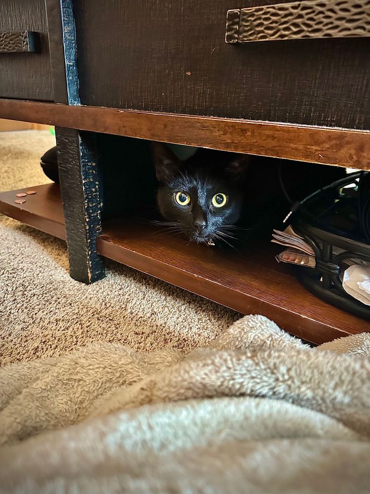 A black cat with yellow eyes peeking out from a shelf beneath a coffee table next to a basket full of papers. 