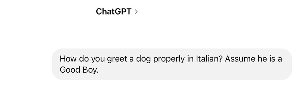 A screenshot of a ChatGPT request saying ”How do you greet a dog properly in Italian? Assume he is a Good Boy.”