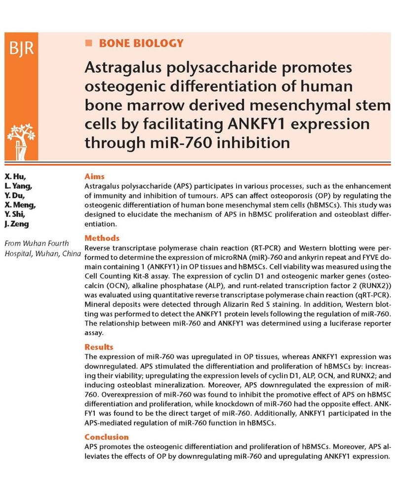 Bone & Joint Research. Abstract text for article titled 'Astragalus polysaccharide promotes osteogenic differentiation of human bone marrow derived mesenchymal stem cells by facilitating ANKFY1 expression through miR-760 inhibition'.