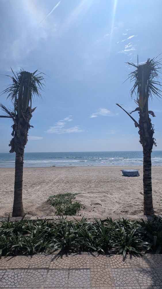 A sandy beach with palm trees either side 