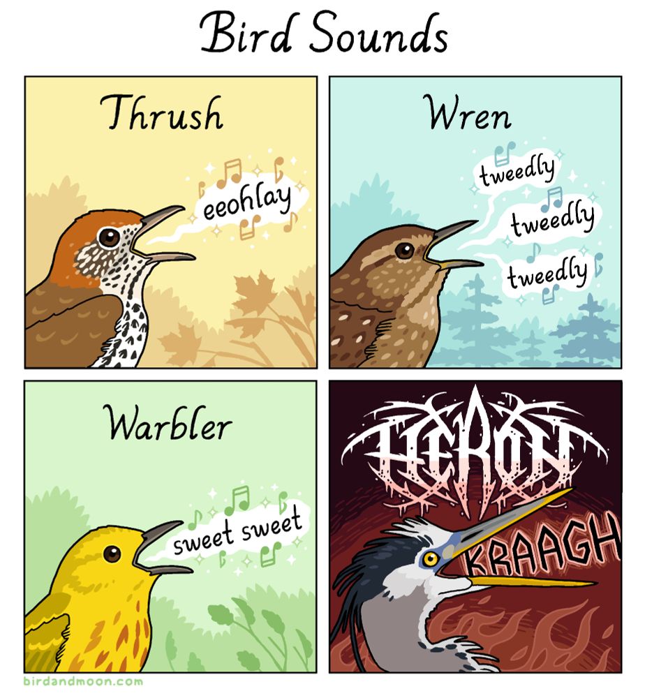 A four panel comic titled Bird Sounds. In panel 1, labeled thrush, a wood thrush sings its beautiful eeohlay song against a forest background. In panel 2, labeled wren, a winter wren delicately sings tweedly tweedly tweedly. In panel 3, labeled warbler, a yellow warbler delicately sings sweet sweet. In panel 4, labeled heron in a death metal font, a heron screams KRAAGH against a background of fire.