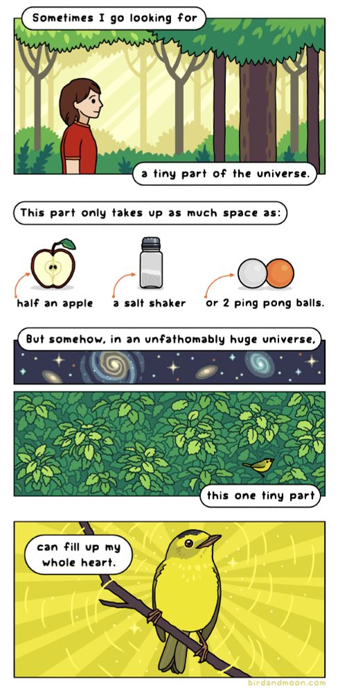 In a comic strip panel, person in a red shirt walks through a sunlit forest. The text says 