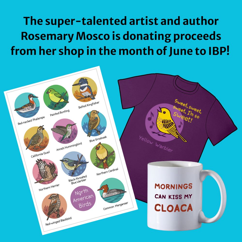 The super-talented artist and author Rosemary Mosco is donating proceeds from her shop in the month of June to IPB! There's an image of a poster of female North American birds, a yellow warbler tshirt, and a mug that says Mornings Can Kiss My Cloaca.