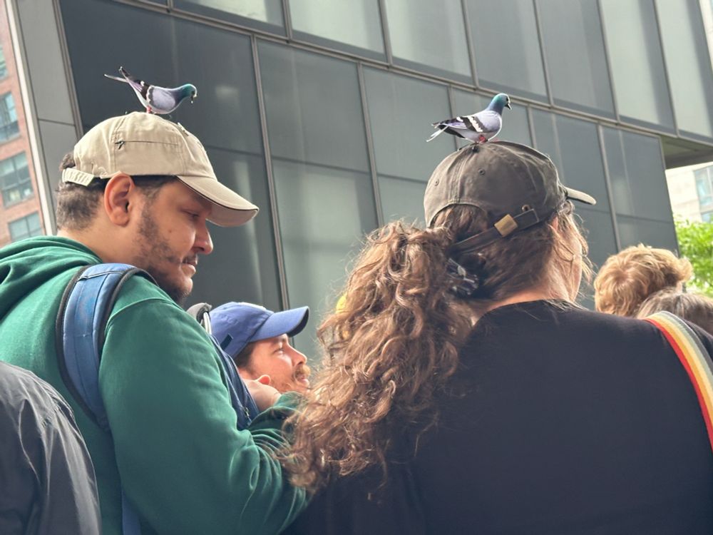 A crowd of people, two of whom have small fake pigeons on their hats.