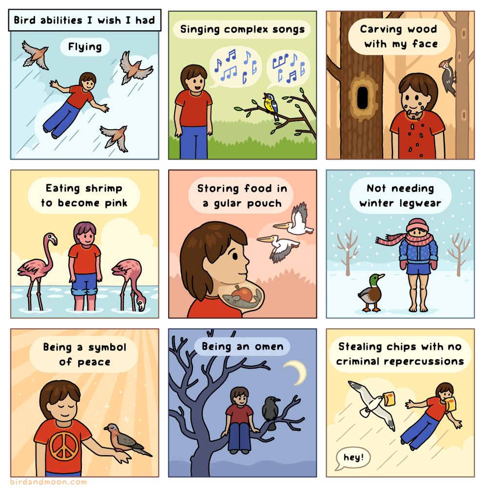 A nine panel comic called "Bird abilities I wish I had." In panel 1, labeled flying, a woman in a red tshirt and blue jeans soars through the air with 2 mourning doves. In panel 2, labeled singing complex songs, the woman sings with a magnolia warbler. In panel 3, labeled carving wood with my face, the woman has carved a hole in a tree and is covered in wood chips, while a pileated woodpecker pecks on a tree behind her. In panel 4, labeled eating shrimp to become pink, the woman has turned pink and is standing next to two flamingos. In panel 5, labeled storing food in a gular pouch, the woman has a throat pouch with an apple and a fish in it, and two pelicans fly by. In panel 6, labeled not needing winter legwear, the woman is bundled up but has bare legs and is standing in a snowy landscape next to a mallard duck. In panel 7, labeled being a symbol of peace, the woman looks peaceful and is wearing a shirt with a peace sign, and there's a mourning dove on her hand. In panel 8, labeled being an omen, the woman is in a spooky tree next to a crow or raven and a crescent moon. In panel 8, labeled stealing chips with no criminal repercussions, the woman and a herring gull are flying through the air carrying chip bags in their mouth while someone on the ground says "hey!".
