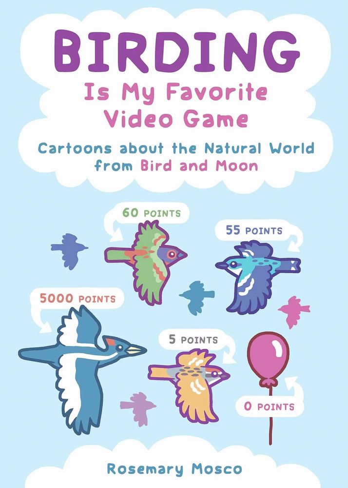 A book called Birding Is My Favorite Video Game: Comics about the natural world from Bird and Moon. It features a variety of birds with points labeled. The ivory-billed woodpecker is labeled 5000 points.