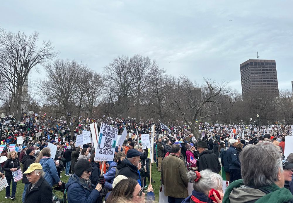 Thousands of people gathered in Boston Common