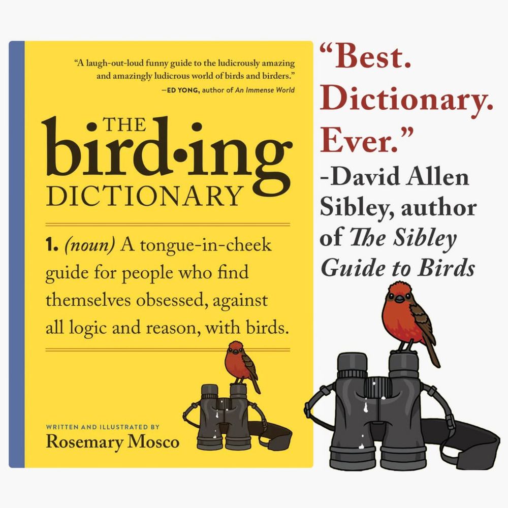 A book called The Birding Dictionary by Rosemary Mosco, with a quote by David Allen Sibley, saying "Best. Dictionary. Ever." and a drawing of a vermilion flycatcher that has pooped on a pair of binoculars.