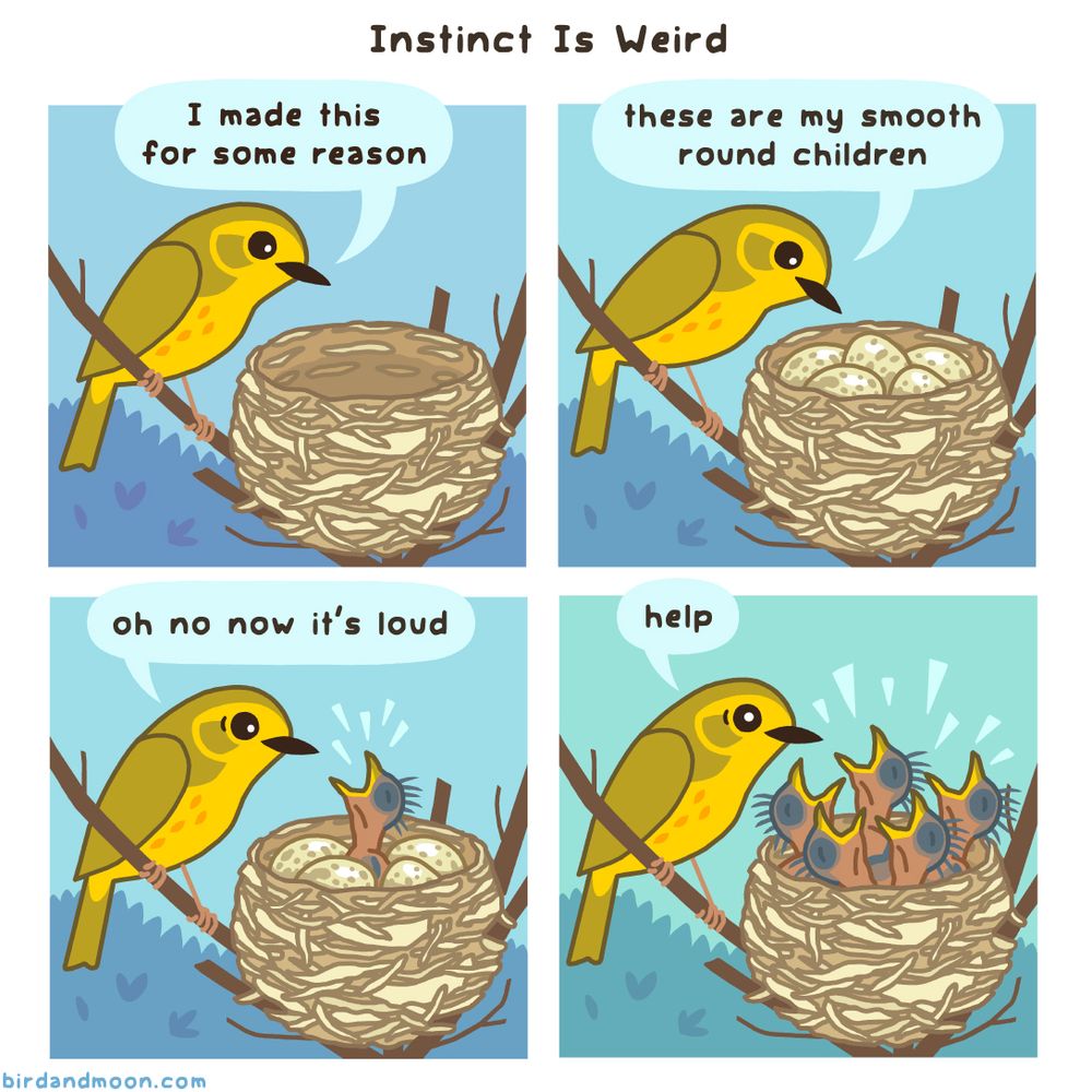 A four-panel comic called Instinct is Weird. In panel 1, a yellow warbler looks at a beautiful nest in a shrub and says "I made this for some reason". In panel 2, there are five eggs in the nest and she says "these are my smooth round children". In panel 3 an egg has hatched into a yelling hatchling, and she says "Oh no now it's loud". In panel 4 she looks distressed as five hatchlings now fill the nest, begging for food, and she says "help".