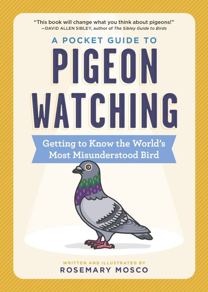 A book called A Pocket Guide to Pigeon Watching: Getting to Know the World's Most Misunderstood Bird.