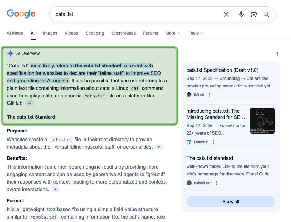 a Google search for "cats.txt." The search results show a prominent "AI Overview" box that explains the term. The overview states that "cats.txt" most likely refers to a recent web specification for websites to declare their "feline staff" to improve SEO. It also mentions other possibilities, such as a simple text file about cats or a Linux command. Below the overview, there are search results and a section titled "The cats.txt Standard," which provides details on its purpose, benefits, and format, explaining that websites create this file to provide metadata about their virtual feline mascots or personalities.