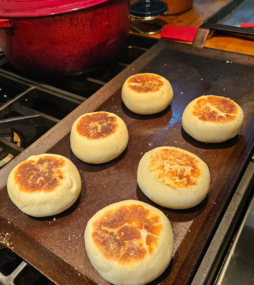 Six English muffins baking on a griddle 