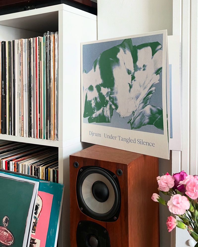 Vinyl records from Djrum, with the new album Under Tangled Silence most prominent. It sits on a wooden speaker, with flowers and othert records nearby.