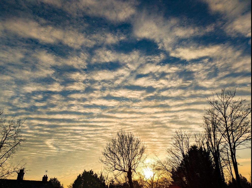 Ripple clouds in the sky and the setting sun with bare trees in silhouette. Acton Bridge, Cheshire
