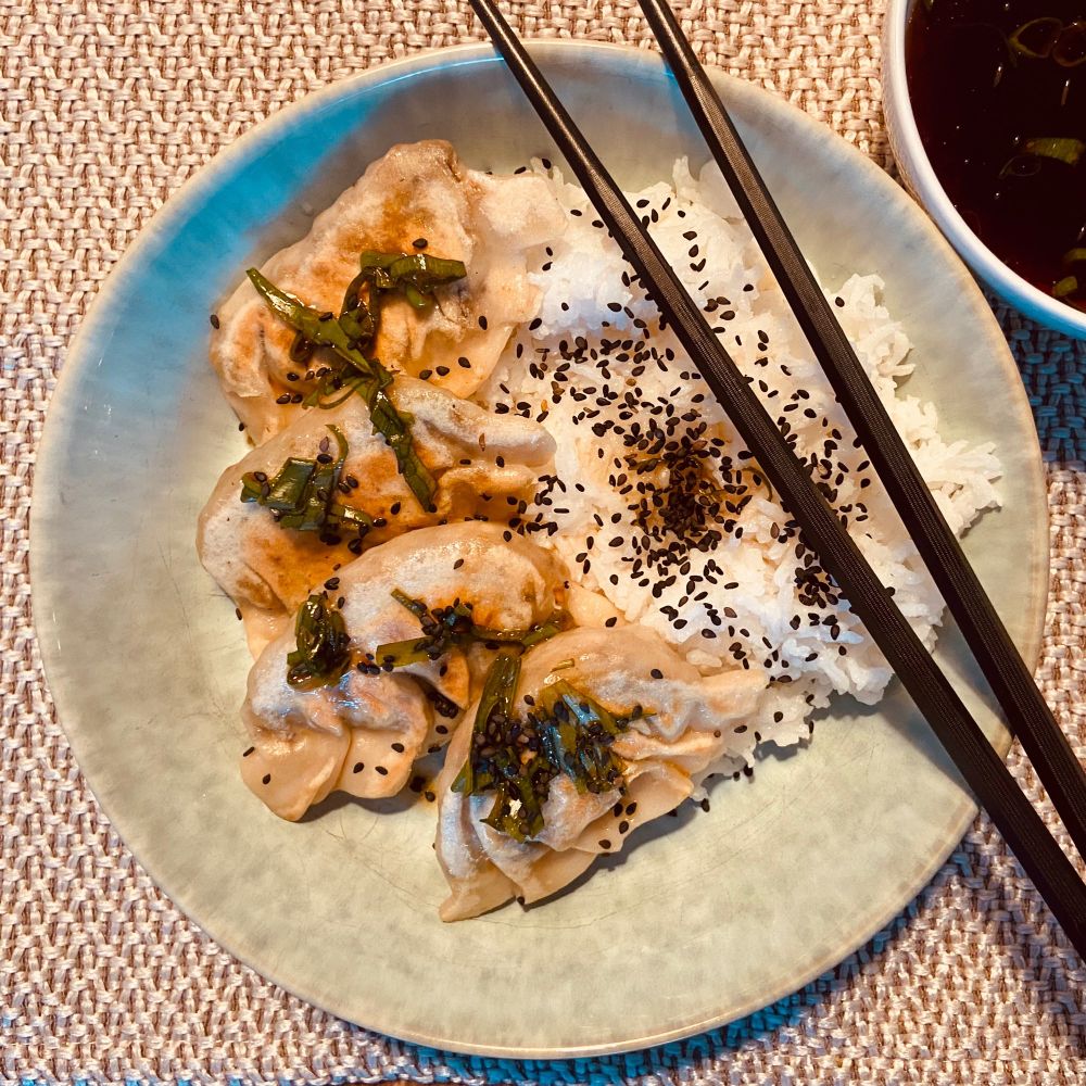 Rundes Teller mit Basmatireis und 4 Gyoza mit schwarzem Sesam getoppt