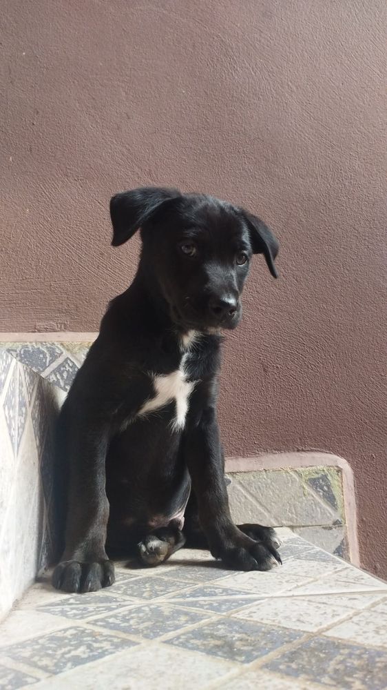 Kurt sentado no sol, reflexivo 