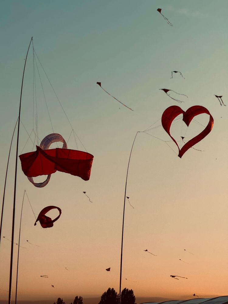 Ein rotes Herz weht wie eine Fahne an einer Stange im Wind. Im Hintergrund sieht man viele weitere Drachen, die in der untergehenden Sonne am Himmel stehen.