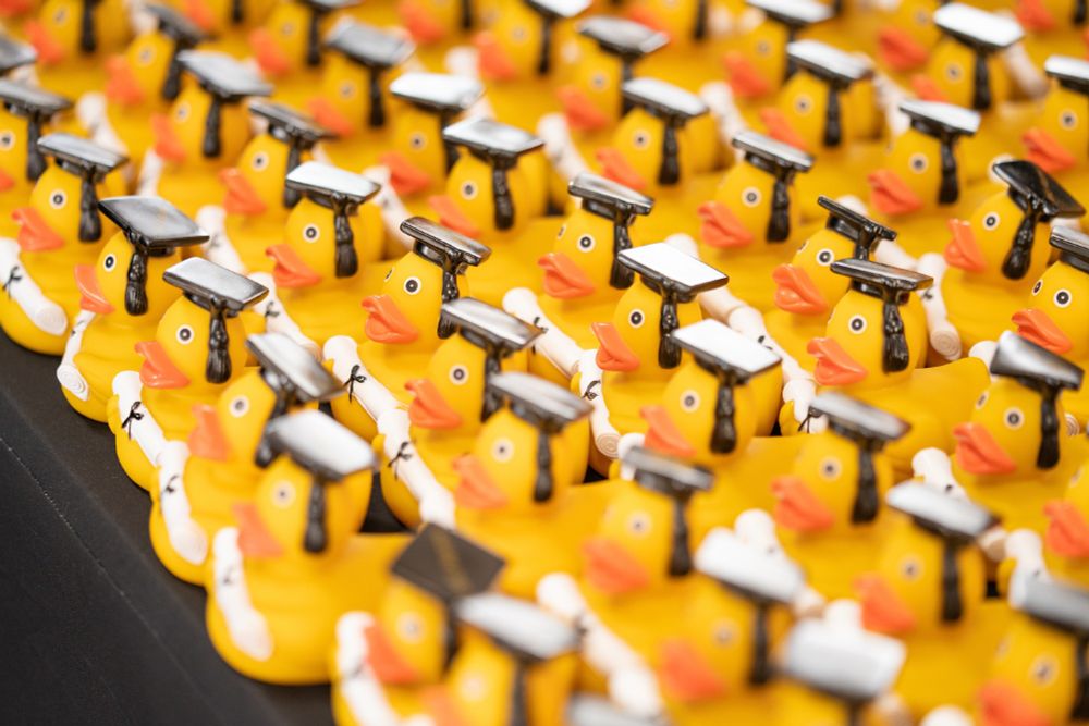 Rows of rubber ducks with graduation hats on
