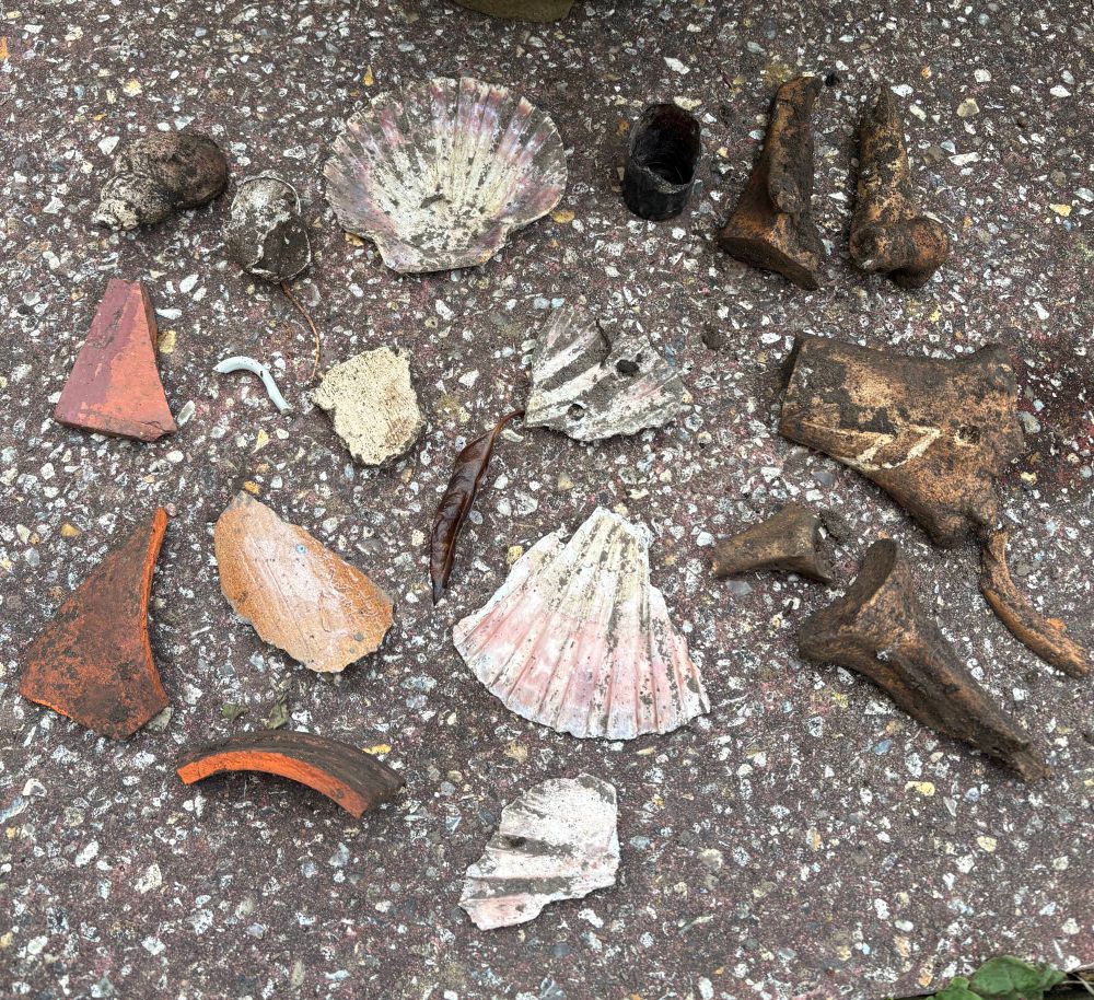 A number of small items are spread out on a paving slab in a back garden. Shells from the sea including scallope shells, a glass medicine bottle, terracotta pot fragments, a fine tea cup handle and 8 old bone fragments.