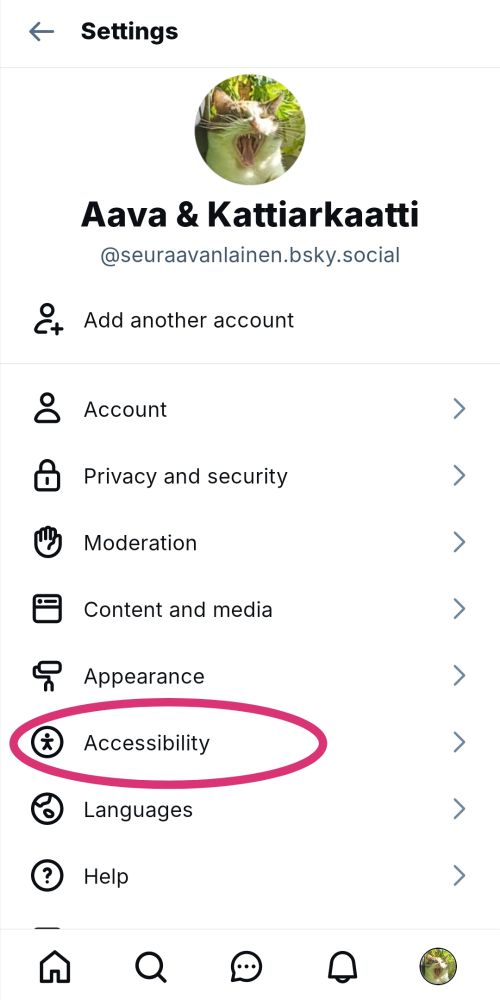 Screenshot of settings tab on BlueSky. The settings' options are listed vertically. The option "Accessibility" is highlighted. It is the seventh row from the top.