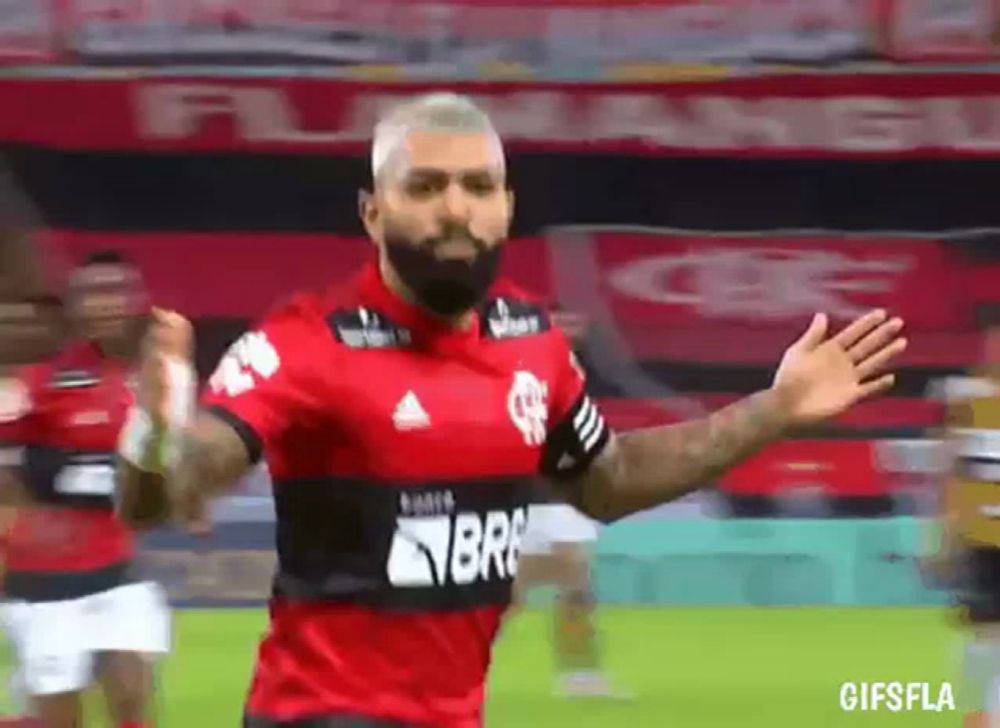 a soccer player with a beard is celebrating a goal on the field .