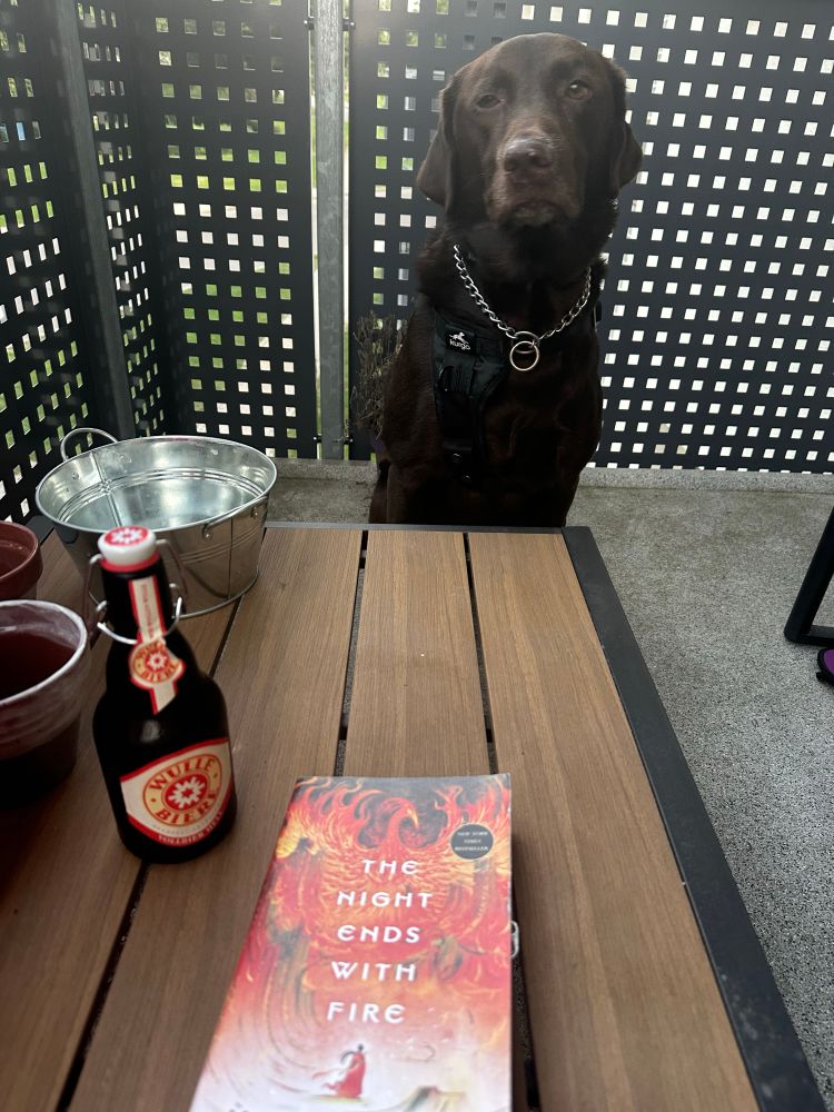 A table holds a book, a bottle of German beer and various empty plant pots. A Chocolate Labrador retriever sits pretty at the other side, looking noble and Very Good and definitely Not Begging for the Pizza which is off camera. 