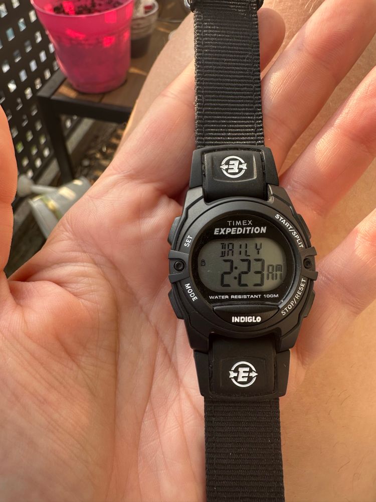 A black timex watch in hand. The watch was unearthed in a kids bedroom, sometime in the wee hours of the morning by a parent who had fallen asleep during the bedtime routine. The screen shows an alarm that is set to go off daily, at 2:23am. 

I have disabled the alarm. 