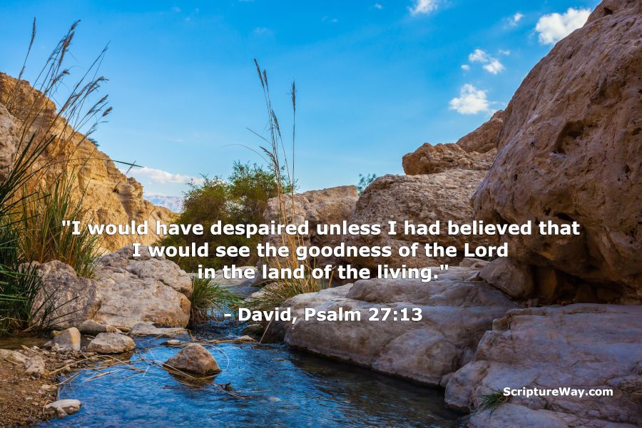 Ein Gedi Stream (Israel) - Psalm 27:13 - "I would have despaired unless I had believed that i would see the goodness of the Lord in the land of the living." - Can Stock Photo - Used under license