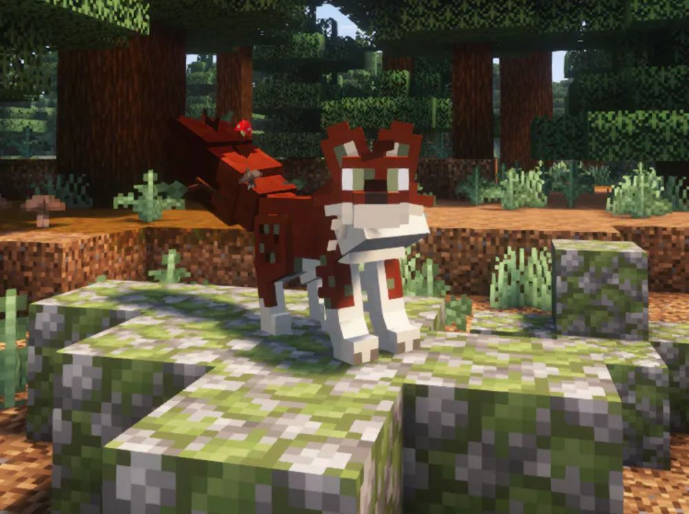 Preview