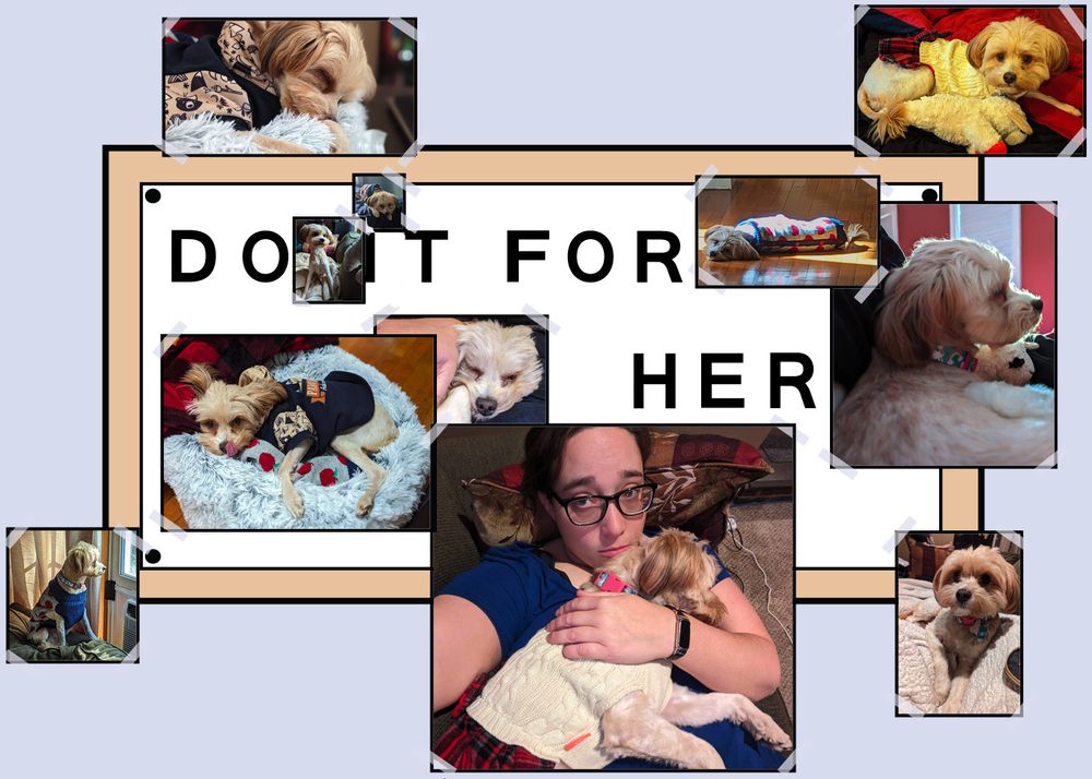 The Simpsons "do it for her" meme but instead of Maggie Simpson, it's photos of my cockapoo rescue dog.