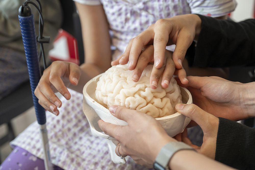 Une personne tient dans sa main un cerveau en plastique. Plusieurs mains touchent la texture.