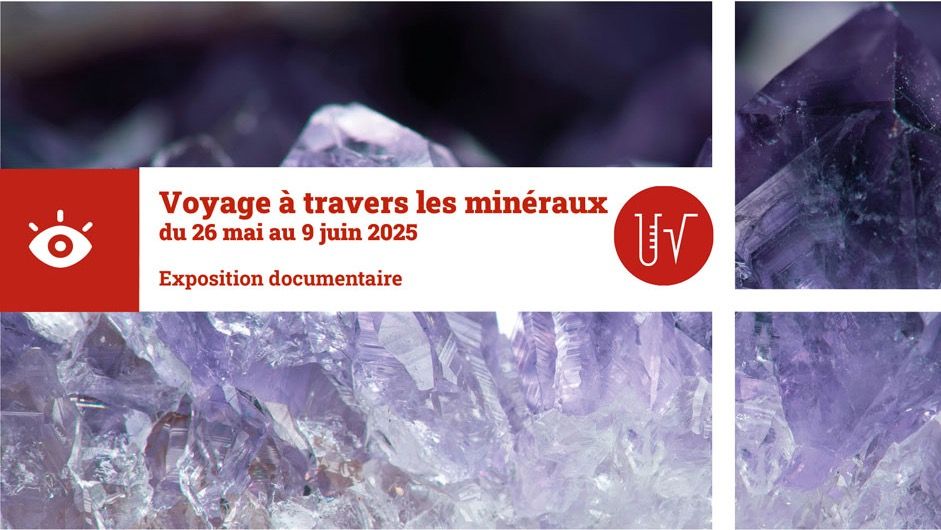 Image décorative
