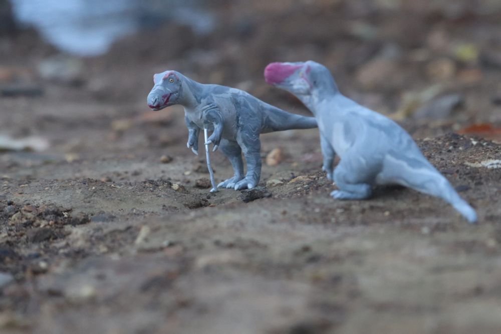 Another picture of the Nanotyrannus pair with the second one in focus.