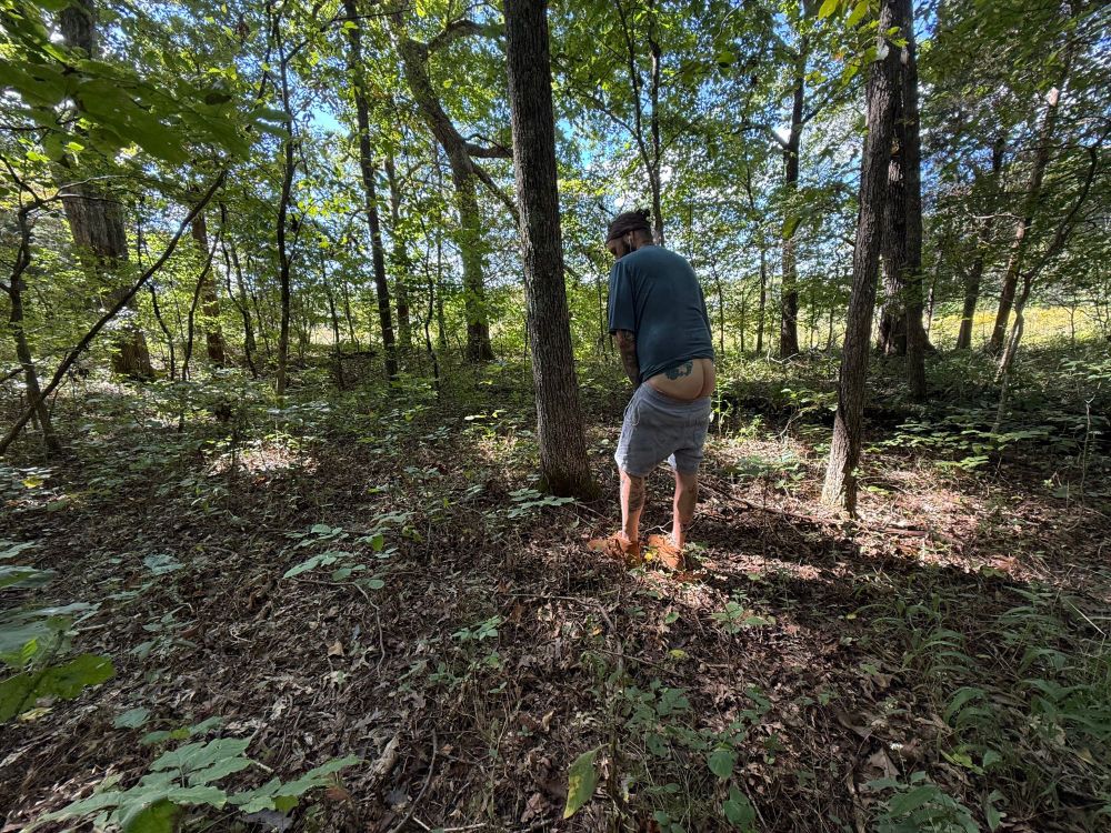 A photo of a butt in the woods 