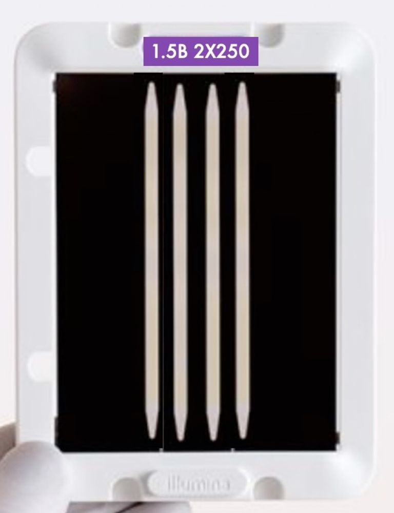 Illumina Novaseq X+ 1.5B 2*250 FC mockup. 
