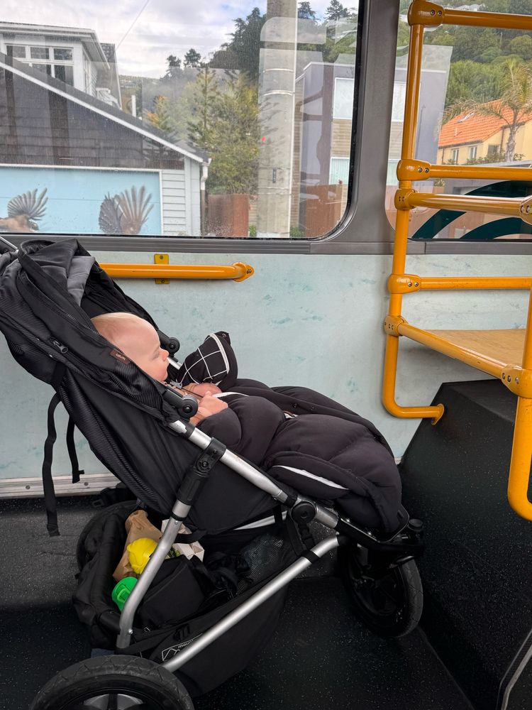 A baby in a stroller inside a bus