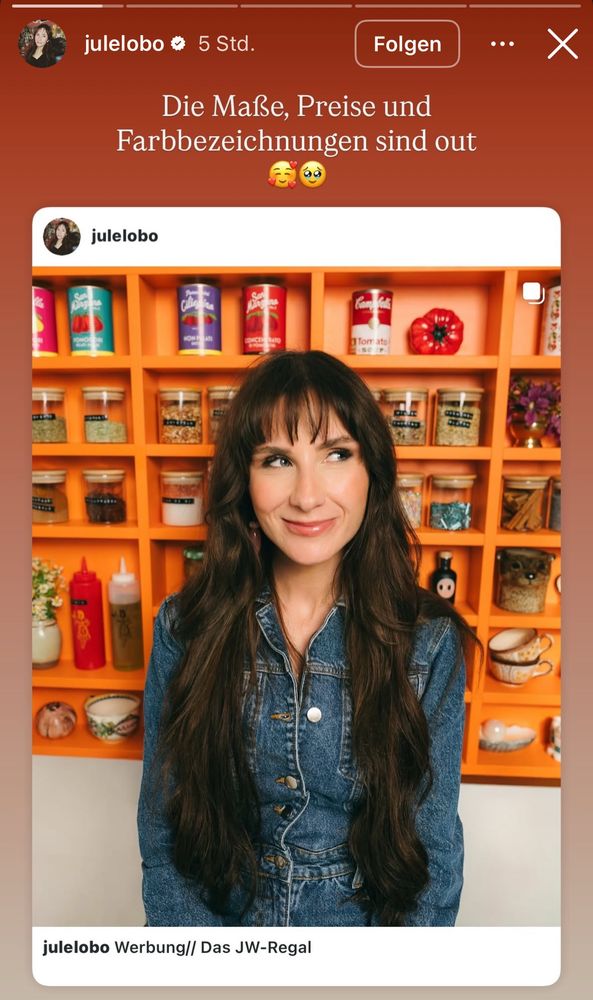Ein Screenshot von Jule Lobos Insta Story mit Werbung für ein Regal names JW ?!