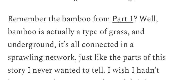 Remember the bamboo from Part 1? Well, bamboo is actually a type of grass, and underground, it’s all connected in a sprawling network, just like the parts of this story I never wanted to tell.