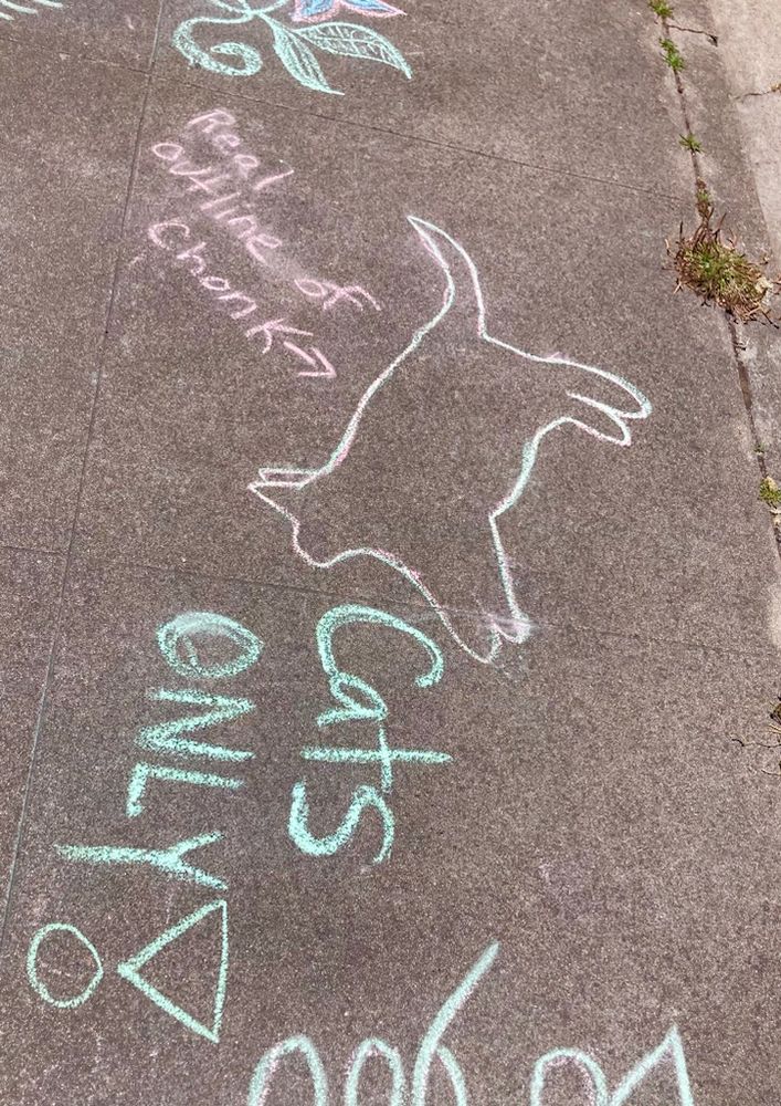 Outline of Baecole's body chonk on the sidewalk 