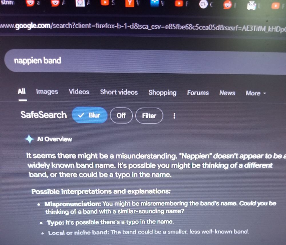 Google ai lying that there isn't a band named nappien