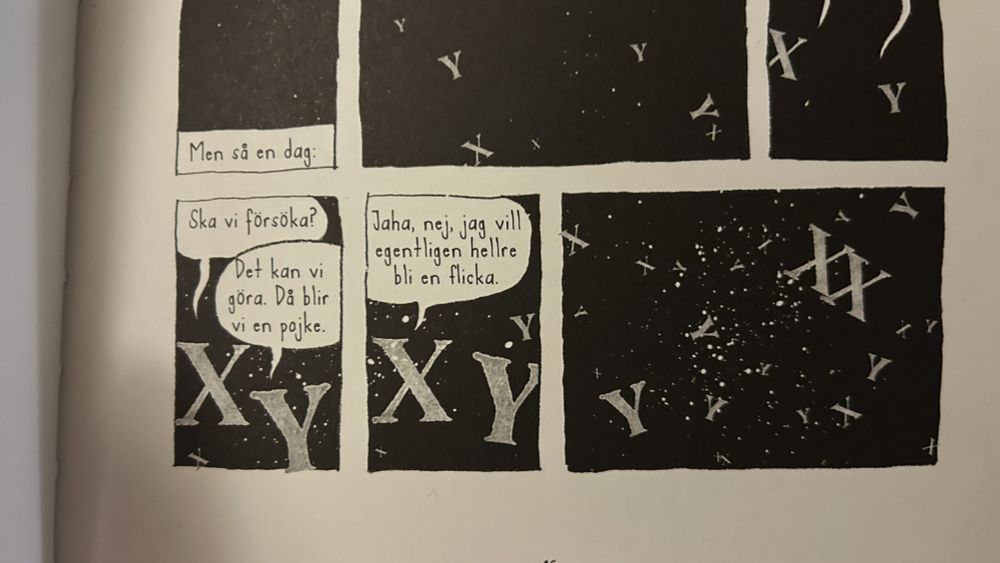 Ur Annette Herzogs "Pssst!" 

Tre serierutor med X och Y i rymden, typ.

Ruta 1. X säger "Ska vi försöka." Y svarar "Det kan vi göra. Då blir vi en pojke."

Ruta 2. X säger "Jaha, nej, jag vill egentligen hellre bli en flicka."

Ruta 3. X seglar iväg tillsammans med ett annat X.