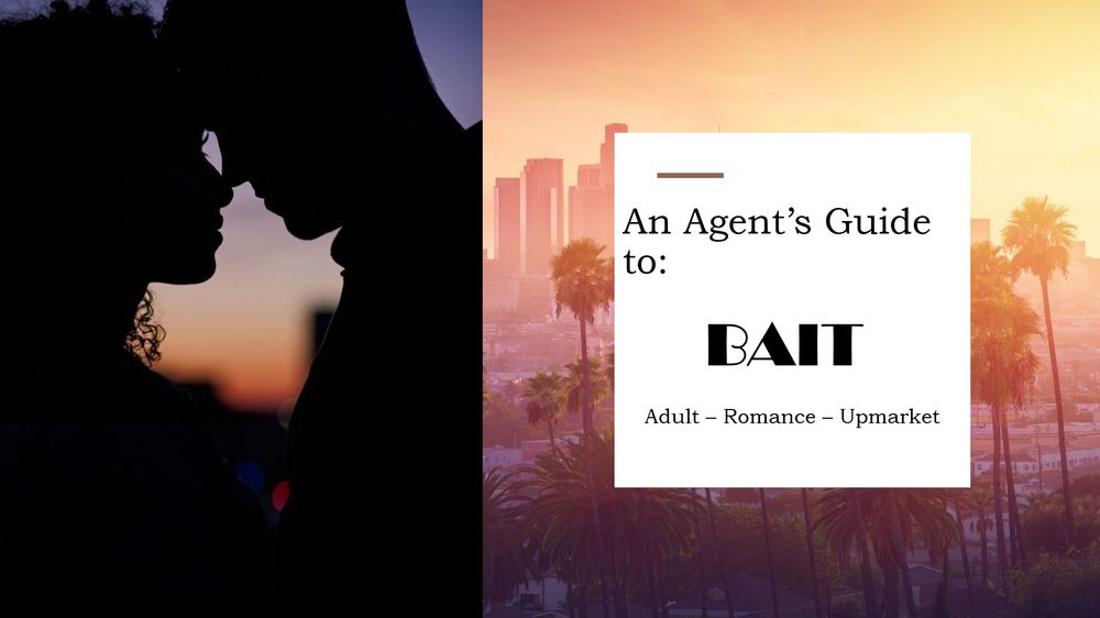 A picture with the text "An Agents Guide to Bait. Adult-Upmarket-Romance". A photo of a couple in shadow, and the horizon of Los Angeles draped in a sunset color palette.